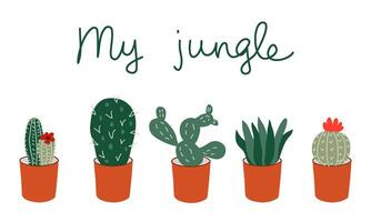 Hand gezeichnet Kaktus Pflanze saftig Satz. Vektor