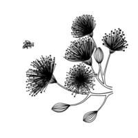 hand dragen svart och vit vektor illustration av imaginär grafisk blommor och en flygande insekt