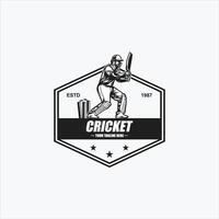 cricket logotyp. silhuett av en cricket spelare, vektor illustration.