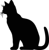 Burmilla Katze schwarz Silhouette vektor