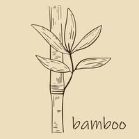 bambu stam med blad isolerade objekt vektor