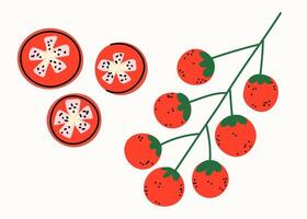 friska frukost. körsbär tomater och skära tomater. uppsättning av vektor platt illustrationer i hand dragen stil. utsökt maträtter. tecknad serie mat ikoner. isolerat på en vit bakgrund.