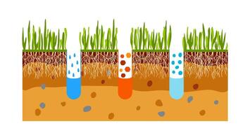 gräsmatta luftning. begrepp av gräsmatta gräs vård, trädgårdsarbete service, fördelar av luftning. vatten, luft och gödselmedel har lätt tillgång till jord vektor