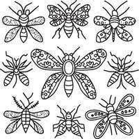 Insekten Färbung Seiten zum Färbung Buch. Insekten Gliederung Vektor. vektor