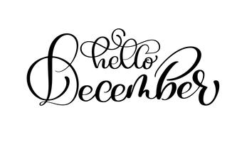 Handtecknad typografi bokstäver frasen Hello December isolerad på den vita bakgrunden. Rolig penselbläck kalligrafi inskription för vinterhälsningsinbjudningskort eller tryckdesign vektor