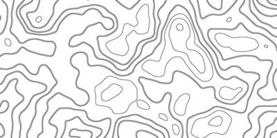 bakgrund av de topografisk Karta. topografisk Karta rader, kontur bakgrund. svart och vit abstrakt bakgrund vektor