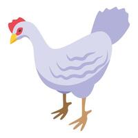 vit kyckling fågel ikon isometrisk vektor. jordbruk produktion vektor