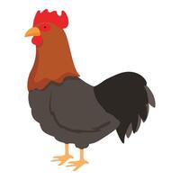 kyckling kuk ikon tecknad serie vektor. fågel matare vektor