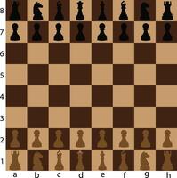 braun Schach Vektor