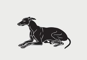 ai generiert Silhouette von Windhund Vektor Illustration auf ein Weiß Hintergrund