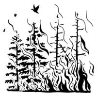 Silhouette von Nadelbaum Wald im Feuer. Hand gezeichnet Grafik Vektor Illustration von Lauffeuer. einfarbig eben Zeichnung isoliert auf Weiß Hintergrund.