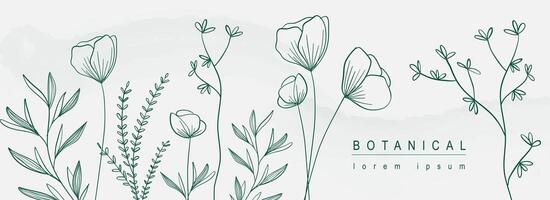 botanisch abstrakt Hintergrund mit Blumen- Linie Kunst Design. horizontal Netz Banner im minimal Stil mit Blühen Mohn Blumen Kontur, anders Blätter und Pflanze Zweige Grenze. Vektor Illustration.