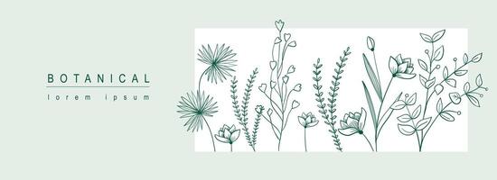 botanisk abstrakt bakgrund med blommig linje konst design. horisontell webb baner i minimal stil med blomning annorlunda blommor, vildblommor, örter och löv i ram mall. vektor illustration.