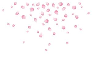 Hintergrund von fliegend Rosa Rose Blütenblätter. Vektor Illustration zum Abdeckung, Banner, Poster, Karte, Netz und Verpackung.