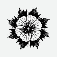 vektor hibiskus blomma illustration silhuett isolerat på vit bakgrund