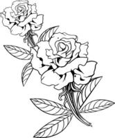 Rose Blume Linie Kunst Illustration vektor