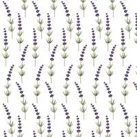 nahtlos Muster von Geäst von Lavendel. zum Design Karten, Banner und Muster.Vektor Illustration vektor