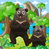 Två björnar i skogen vektor
