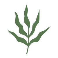 grön växt, handflatan blad. isolerat vektor illustration för din design