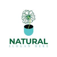 naturlig, eco mat, grön blad fröplanta, växande växt logotyp design vektor mall. naturlig logotyper med löv