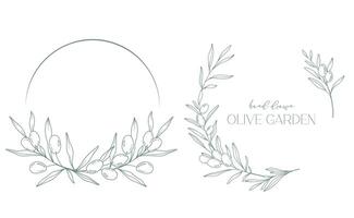 Oliven Linie Zeichnung. schwarz und Weiß Olive rahmen. Olive Kranz isoliert. Blumen- Linie Kunst. fein Linie Olive Illustration. schwarz und Weiß Olive Geäst. Hand gezeichnet Olive. Hochzeit Einladung Grün vektor