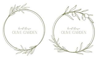 Oliven Linie Zeichnung. schwarz und Weiß Olive rahmen. Olive Kranz isoliert. Blumen- Linie Kunst. fein Linie Olive Illustration. schwarz und Weiß Olive Geäst. Hand gezeichnet Olive. Hochzeit Einladung Grün vektor