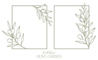 Oliven Linie Zeichnung. schwarz und Weiß Olive rahmen. Olive Kranz isoliert. Blumen- Linie Kunst. fein Linie Olive Illustration. schwarz und Weiß Olive Geäst. Hand gezeichnet Olive. Hochzeit Einladung Grün vektor