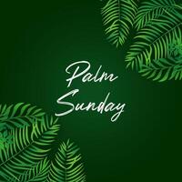 Palme Sonntag. glücklich Palme Sonntag Vektor. Palme Sonntag Hintergrund. vektor