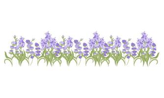 dekorativ gräns av lavendel- blommor för din design. vektor illustration isolerat på vit bakgrund.
