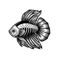 Fisch Vektor Illustration auf Weiß Hintergrund. isoliert Vektor Symbol. Färbung Buch Vektor Illustration.