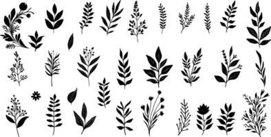 Hand gezeichnet Blumen- Elemente. Vektor einstellen botanisch Illustration. minimalistisch Pflanze Symbole