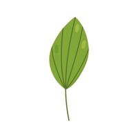 tropisk blad isolerat på vit bakgrund. vektor ritad för hand illustration. perfekt för logotyp, kort, dekorationer, olika mönster. botanisk ClipArt.