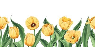 nahtlos Rand von Gelb Tulpen auf ein isoliert Hintergrund. Illustration mit Frühling Blumen zum Ostern, Mutter Tag, usw. geeignet zum Dekor, Stoff, Karten, Hintergründe, Tapeten vektor