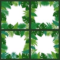 Urwald Blätter Rahmen. Karikatur tropisch Blatt Hintergrund mit Laub Elemente. Sommer- Natur Palme Pflanzen zum Poster, Karten auf Weiß Hintergrund. Vektor Sammlung