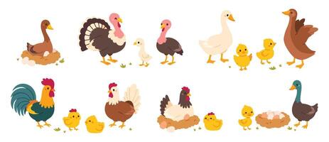bruka fågel. tecknad serie annorlunda inhemsk fjäderfän gående på gård. söt kyckling, tupp, trevlig ankor, kalkoner, gåsar med grubbla, ägg i bo. familj fjäderfä. mor och ungar. vektor uppsättning