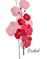 rot isoliert einfach exotisch Blumen Orchidee auf Weiß Hintergrund Vektor Illustration