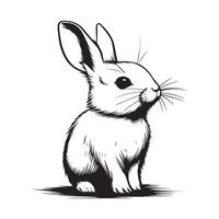 Vektor Illustration von Hase isoliert auf Weiß Hintergrund