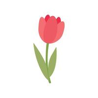 Hand gezeichnet süß Frühling Tulpe Blume vektor