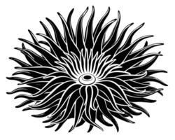 Anemone Gliederung Vektor Illustration