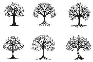 dekorativ träd uppsättning översikt vektor illustration på vit bakgrund