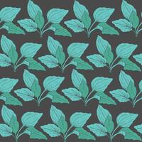 botanisk sömlös mönster med grön groblad löv på mörk bakgrund. medicinsk örtartad växt hand dragen i årgång stil. vektor illustration för tyg skriva ut, omslag papper, tapet.