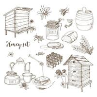 honung produktion, biodling eller biodling uppsättning - vaxkaka, konstgjorda bikupor, trä- doppare, bin, tekanna hand dragen i retro stil på vit bakgrund. svartvit vektor illustration.
