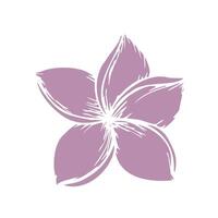 tropisk silhuett av vektor plumeria blomma illustration på isolerat bakgrund. skön botanisk hand målad exotisk frangipani. för designers, spa dekoration, vykort, bröllop, hälsningar