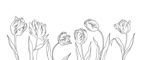 leva vektor illustration tulpaner baner silhuett kontur kronblad löv sommar vår botanik ClipArt kvinnors dag, mammas, bröllop inbjudan, mall, hälsning kort, blommig design, blommor, växter