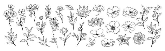 einstellen von Blume Hand gezeichnet Element Vektor. Sammlung von Laub, Zweig, Blumen, Blätter, Wildblume, Rosen im Linie Kunst. Frühling blühen Illustration Design zum Logo, Hochzeit, Einladung, Dekor. vektor