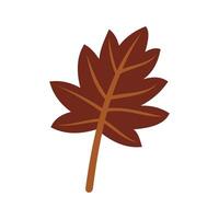 Herbst Blatt Pflanze Natur Symbol. isoliert und eben Illustration. Vektor Grafik. Ressourcen Grafik Element Design. Vektor Illustration mit ein Blatt und Natur Thema