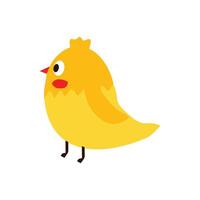 söt kyckling ikon logotyp vektor isolerat på vit bakgrund för din webb och mobil app design. Resurser grafisk element design djur, natur och miljö- teman