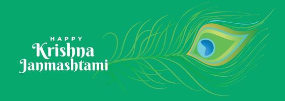 glücklich krishna Janmashtami Pfau Feder schön Banner Design vektor