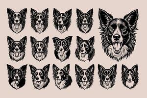 ai generiert Gebell Rand Collie Hund Kopf Illustration Design bündeln vektor