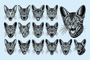 ai genererad bunt av chausie katt huvud porträtt illustration design vektor